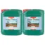 canna aqua flores a und b 1.png
