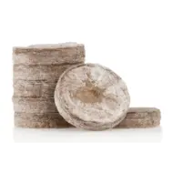 jiffy quelltoepfe1.png