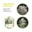 automatic samen mix pack.jpg