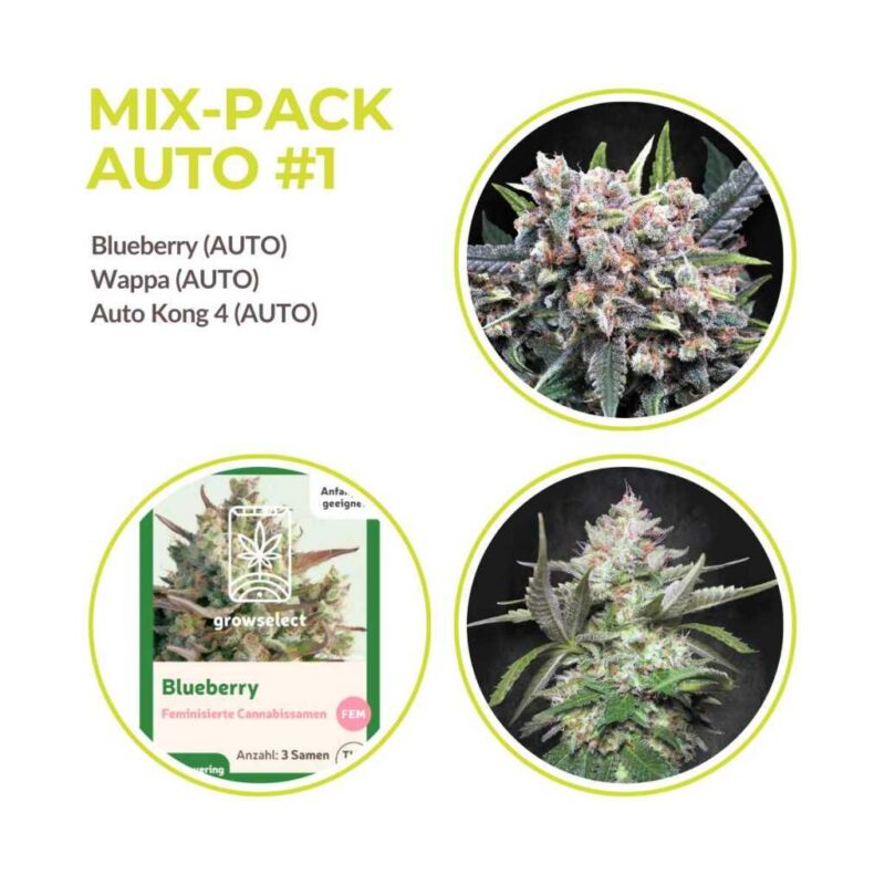 automatic samen mix pack.jpg