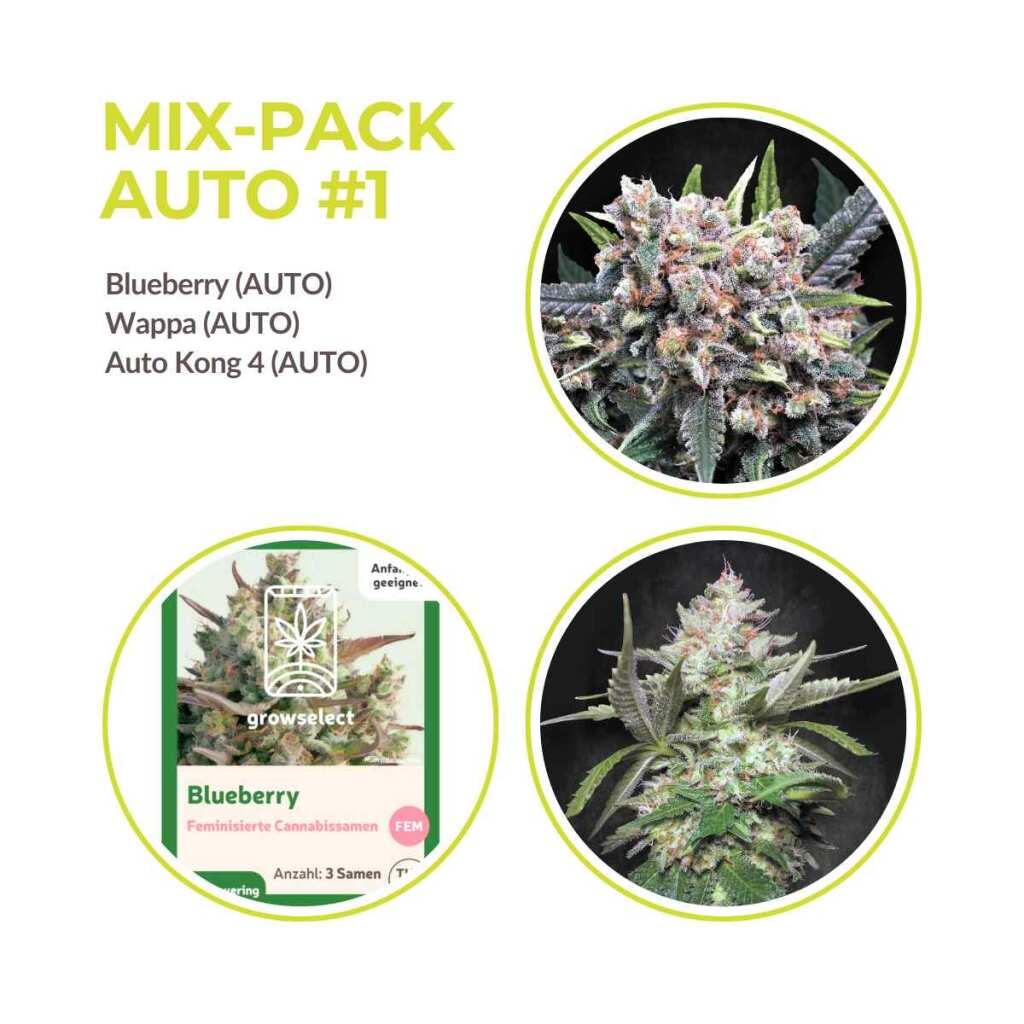 automatic samen mix pack.jpg