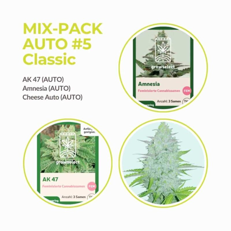 cannabis samen autoflower mix 5.jpg