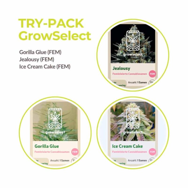 cannabis samen trypack growselect mix pack.jpg
