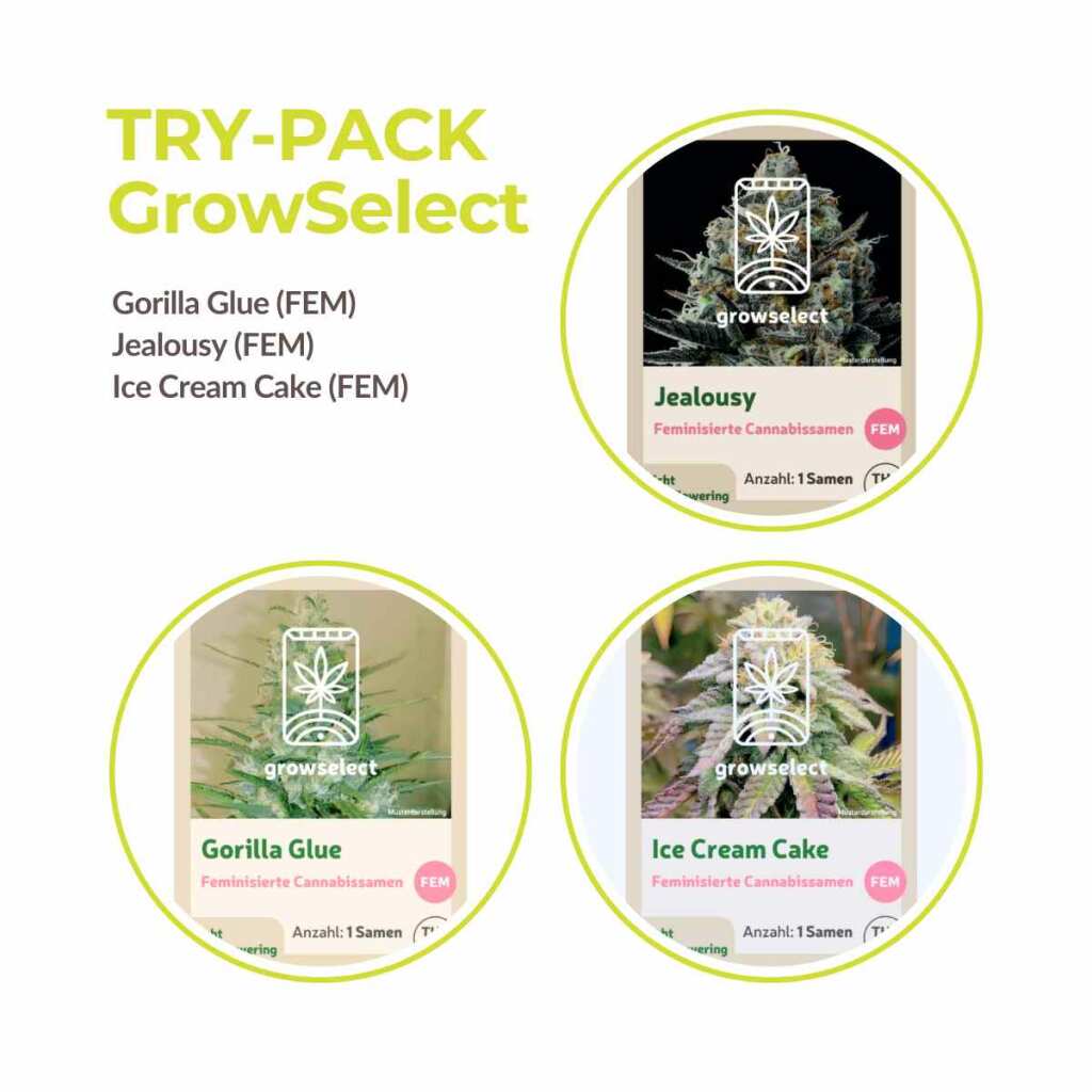 cannabis samen trypack growselect mix pack.jpg