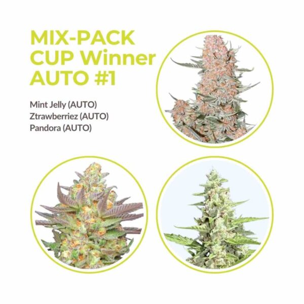 cup winner automatik mix pack.jpg