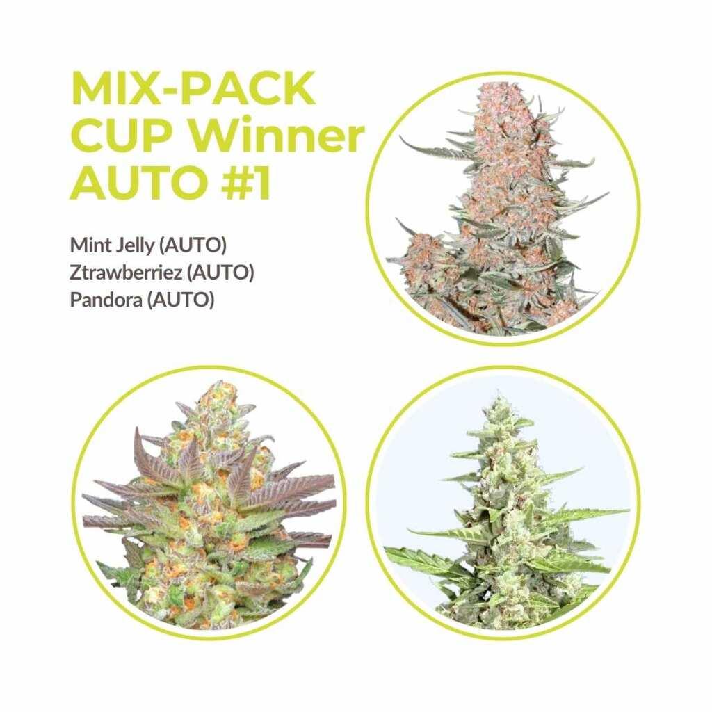 cup winner automatik mix pack.jpg