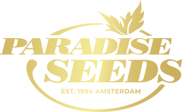 logo paradise seeds gold