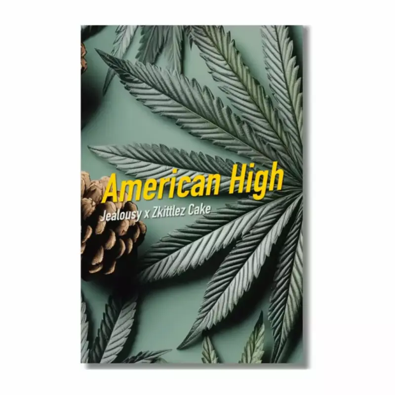 american high | feminisierte cannabissamen von dope seeds