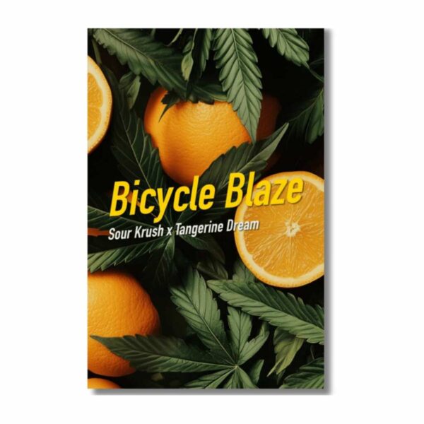 bicycle blaze | feminisierte cannabissamen von dope seeds