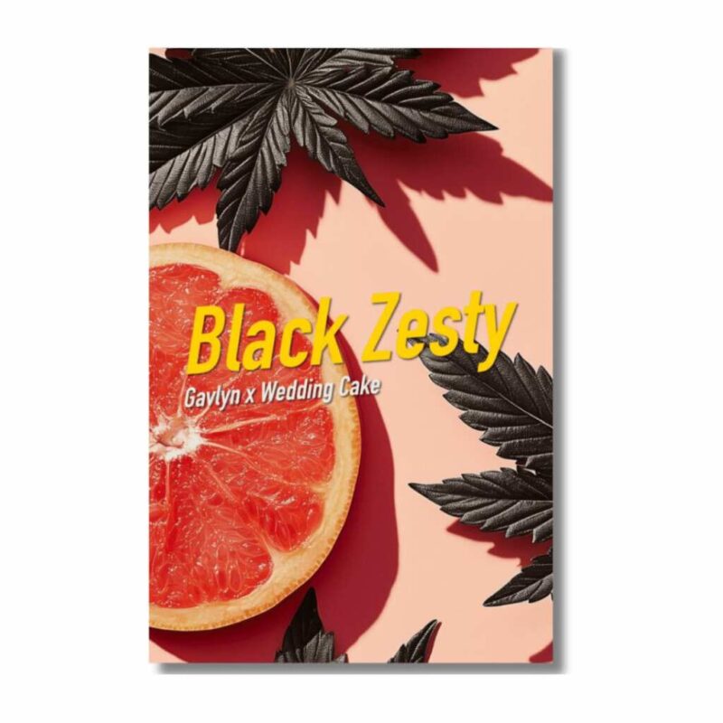 black zesty | feminisierte cannabissamen von dope seeds