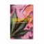 bobby mc zee | feminisierte cannabissamen von dope seeds