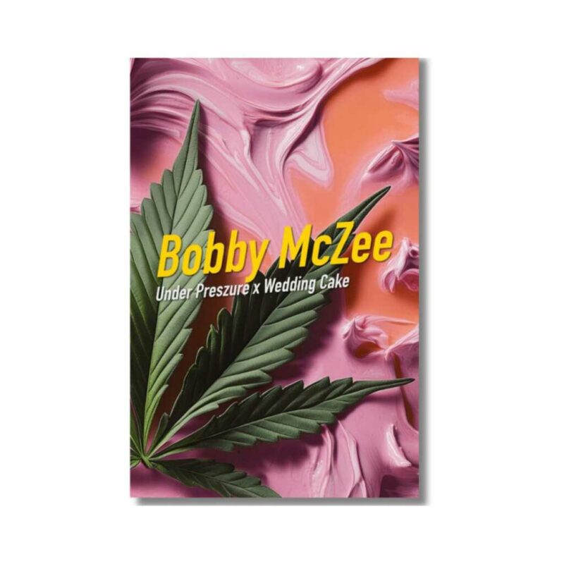 bobby mc zee | feminisierte cannabissamen von dope seeds
