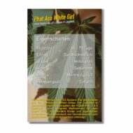 pawg | feminisierte cannabissamen von dope seeds