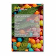 under preszure | feminisierte cannabissamen von dope seeds