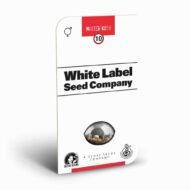jack herer regular | reguläre cannabissamen | sensi seeds (kopie)