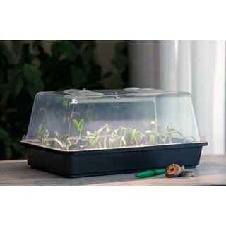 romberg gewächshaus lumio m mit led